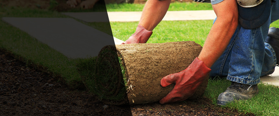 Edgewood Landscapers